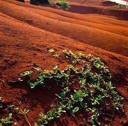 合作策略动作冒险《摩纳哥2》新更新上线 4人PVP模式登场