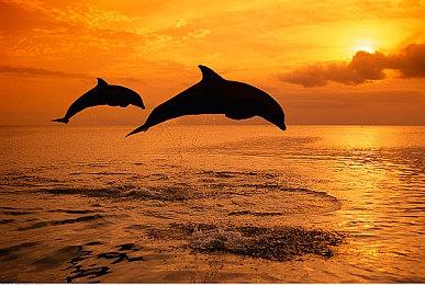 《无主之地3》终极版Switch发售 官方更正容量实为23.5G